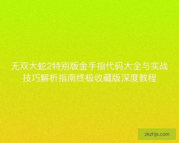 无双大蛇2特别版金手指代码大全与实战技巧解析指南终极收藏版深度教程